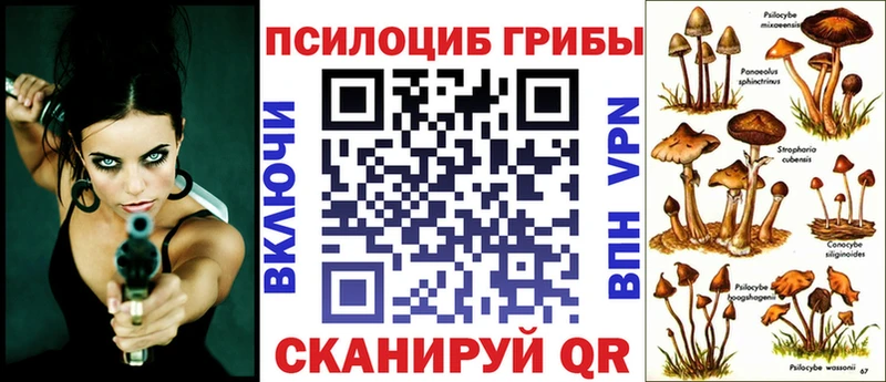 Псилоцибиновые грибы Psilocybe  omg   Артёмовский 